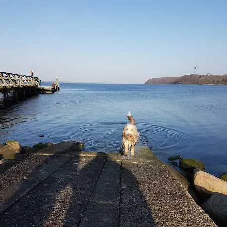 Haus Finisberg Appartement